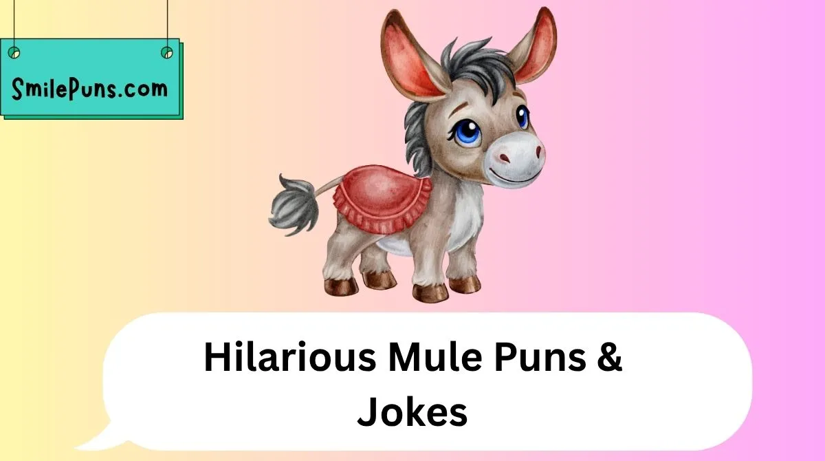 Hilarious Mule Puns & Jokes