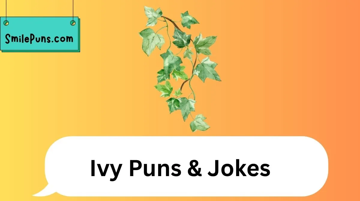 Ivy Puns & Jokes