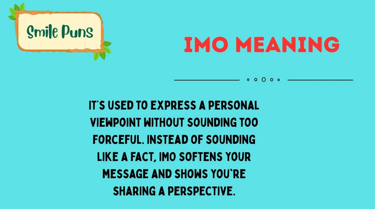 IMO Meaning