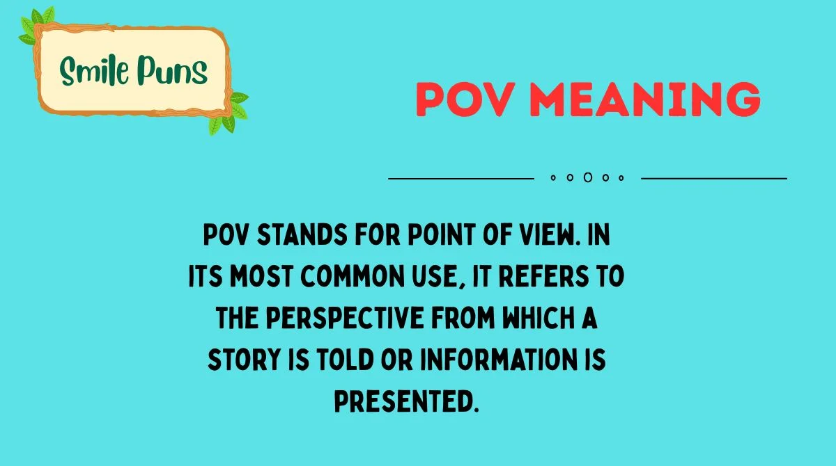 POV Meaning