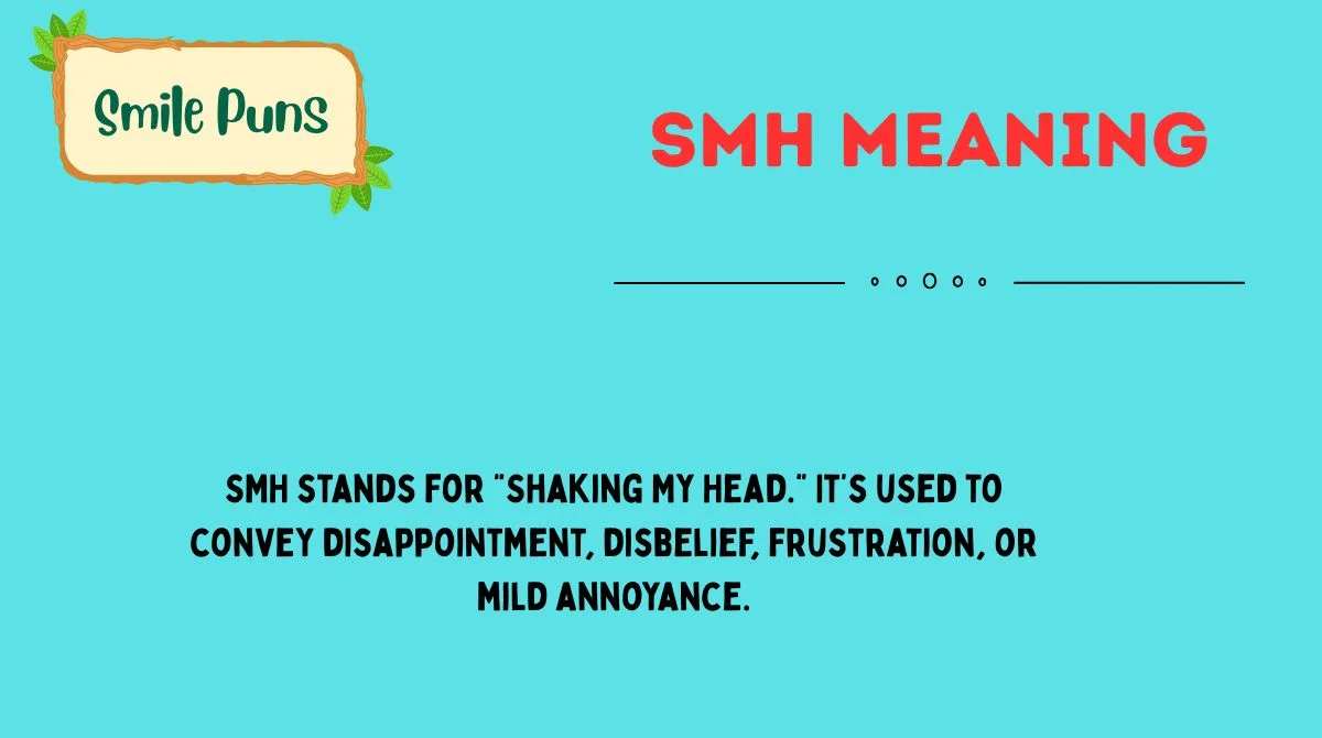 SMH Meaning